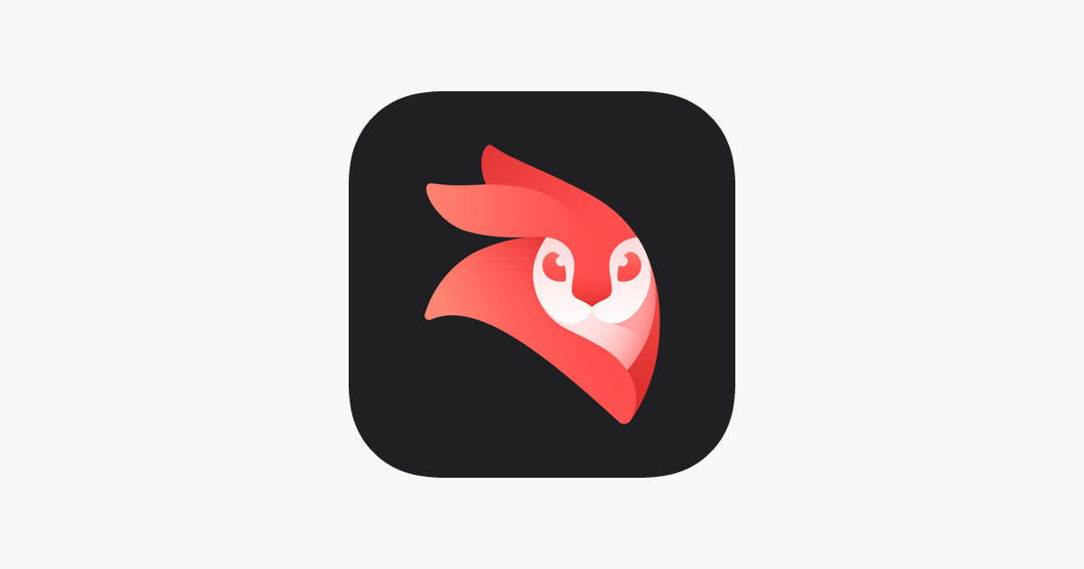 Videoleap